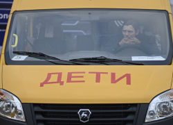 По дорогам Тамбовской области будут курсировать 52 новых школьных автобуса