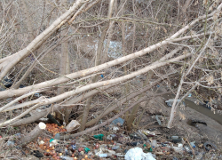 В Тамбове волонтёры почистят берега Студенца