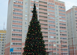 В Тамбове во дворах многоэтажек установят более 100 новогодних ёлок