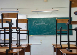 В школах, ВУЗах и техникумах региона объявлен карантин