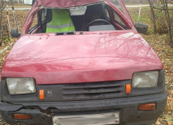 В Жердевском районе «Ока» врезалась в лося