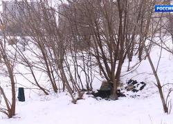 В Тамбове заживо сожгли двух беременных собак вместе с будкой
