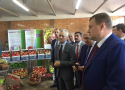 Александр Никитин открыл День садовода в Мичуринске
