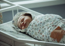 В апреле в Тамбове появились Аврора, Златослава и Аристарх