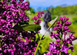 Погода в регионе: утренние заморозки, переменная облачность, вероятность снега