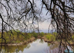 Погода на рабочую неделю в Тамбове: облачно, прохладно и дождливо