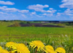 В Тамбовскую область пришло долгожданное тепло