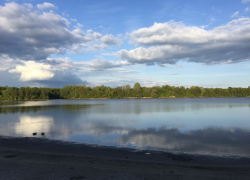 В Тамбове готовятся к открытию купального сезона 1 июня