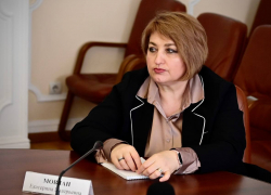 Уполномоченным по защите прав предпринимателей в Тамбовской области стала Екатерина Мовчан