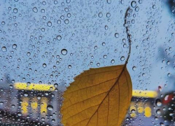 «Бабье лето» в Тамбове начнётся дождями