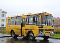Для школьницы из Малой Зверяевки пустят школьный автобус