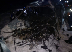 В Тамбовской области из-за столкновения «Daewoo Nexia» и грузовика погибли 3 человека