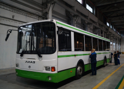 Правительство Москвы подарило Тамбовской области 50 автобусов