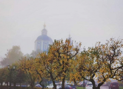 В Тамбове ожидаются заморозки и туман