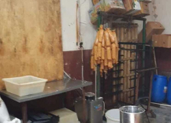 Причиной нашествия крыс на севере Тамбова стал незаконный колбасный цех в гараже