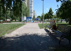 Больше 25 тысяч тамбовчан проголосовали за благоустройство скверов в Тамбове