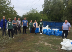 Тамбовские активисты собрали больше 50 мешков мусора на берегу Цны