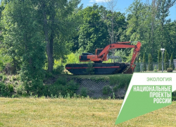Региональное минэкологии презентует тамбовчанам программу расчистки Цны