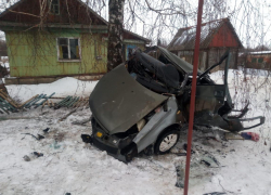 В Тамбовской области "Приора" врезалась в дерево. Есть погибшие
