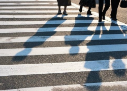 Вежливости тамбовских водителей у пешеходных переходов будет посвящен рейд ГИБДД 