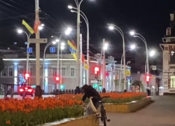 В центре Тамбова неизвестная срезала тюльпаны с клумбы