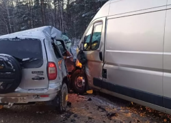 Два человека погибли на дороге Тамбов-Пенза в Рассказовском округе