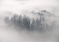 Погода в регионе: сильный ветер, туман и плюсовые температуры