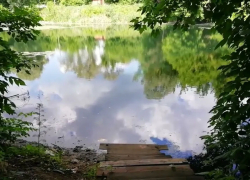 С «ТКС» требуют 5,3 миллиона рублей за загрязнение ручья Чумарса