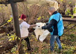 Субботник на Студенце прошёл при участии студентов, регионального минэкологии и регоператора по обращению с ТКО