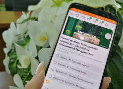 Мичуринцам предлагают выбрать дизайн арт-объекта на набережной