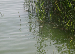 Расчисткой Цны в Тамбове займётся небезызвестная компания «Стинэк»