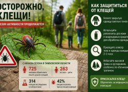 С начала сезона клещи покусали более 700 жителей Тамбовской области