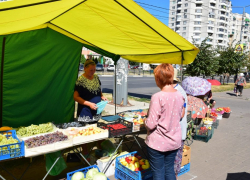 Чиновники снова проверили торговые точки на Чичерина в Тамбове