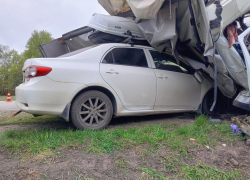 Под Тамбовом на трассе Тамбов-Пенза погиб водитель «Газели»