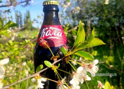 Знаменитый мучкапский лимонад пополнится новыми вкусами