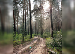 В Тамбов начинает возвращаться летняя жара