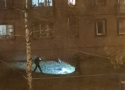 В Тамбове женщина упала с балкона многоэтажки