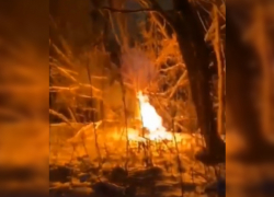 Действовавшая в регионе наркобанда поджигала живьём своих провинившихся курьеров