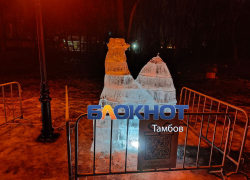 Три миллиона в воду: ледяные скульптуры в усадьбе Асеева растаяли