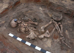 Под Котовском завершены масштабные раскопки 40 захоронений