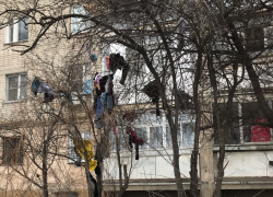 В Тамбове появились «одетые деревья»