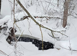 В Цну в районе старой Тулиновской дороги сливают чёрные стоки