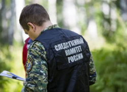 В Мучкапском районе устанавливают обстоятельства гибели женщины, найденной в лесополосе