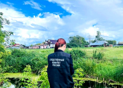 В Рассказовском районе нашли тело пропавшей пенсионерки