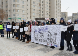 Студенческий десант высадился на одном из пешеходных переходов Тамбова