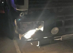 В Тамбовской области пешеход попал под колёса двух грузовиков