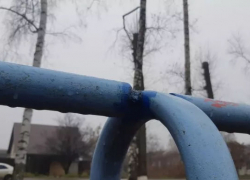 В досрочно открытом парке в Мичуринске нашли множество недостатков