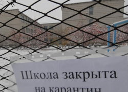 Три школы Мичуринска закрыли на карантин