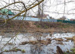 Тамбовские дачники вновь жалуются на расчистку стариц Цны