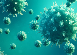 В регионе от коронавируса ежедневно умирают от 3 до 5 человек